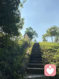 每次進(jìn)到山里，都有種身心純潔的感覺，似乎純天然的空氣、環(huán)境能洗凈身心的污垢[微笑][微笑][微笑]配圖