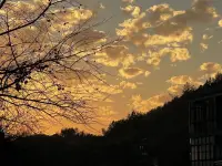 家鄉(xiāng)的美，你們還記得嗎配圖