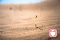 我們當中沒有一個人愿意相信，我們的痛苦都是由自己造成的。我們都認為是這個世界虧欠了我們，使我們沒有能得到幸福；在我們得不到幸福時，我們就把責任怪在最靠近我們的那個人身上。配圖