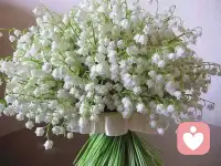 　　小氣是一種人格缺陷，是阻礙品格升華的最大障礙，也是沒有破“我執”的表現。小氣是一種消極的自我防御機制，常常自私、冷漠、封閉。大方也是生意經。格局決定成敗，大方才容易成功。配圖