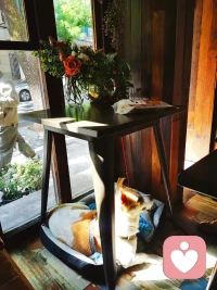 希望大家都有一個愉快的周末配圖