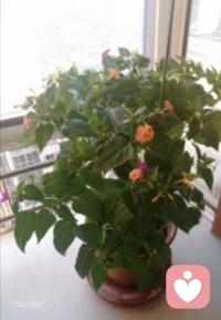 人活一世，最重要的便是心靈的寧靜與平和，仰，無愧于天地；俯，無愧于內(nèi)心……配圖