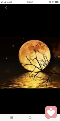 海內存知己，天涯若比鄰配圖