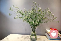 理解那些讓你痛苦的人

人表達內在情感的幾種方式:
1、直接跟你表達，我很難受
2、通過做一些事，向你表達他很難受
3、無法用語言表達，通過把你搞得跟他一樣難受來表達他此刻很難受！
所以試著理解那些讓你痛苦的人，她們只是在表達情感！配圖