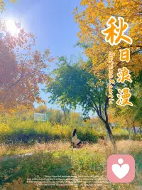 放過過去關注當下著眼未來配圖