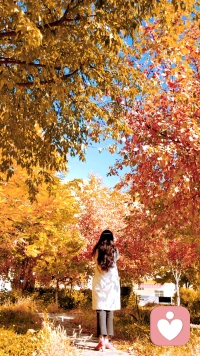 心若陽光何懼過往配圖