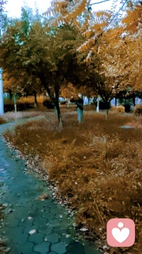 助人自助渡人渡己