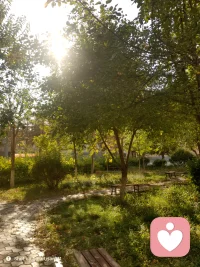 风中凌乱中努力维持微笑瑟瑟发抖中尽力挺直腰身