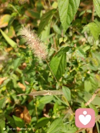 三观端正既来之则安之患得患失则不快乐做不成事
