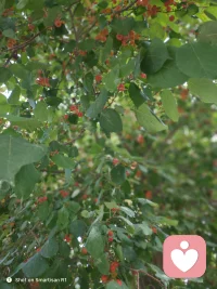 你今天预见的人生巅峰可能只是明天的垫脚石