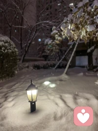 戀愛是一種能力，可以通過學習來提升，我們要學會和自己相處。配圖