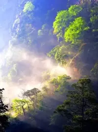 生?永命?遠(yuǎn)不會(huì)?助幫?因恐?而懼?屈服的人

       生?是命?很奇怪的。 一旦?非你?常清楚?己自?要做什么，許?事多?情就?發(fā)會(huì)?生。生?會(huì)命?通過一個(gè)朋友、親戚、老師、一位?奶老?奶或其他?來人?幫你?愿如?以償。

   但?如是?果你害怕嘗試，只?為因?父親可能?你把?趕出家門，那?你么?就迷失了。生?永命?遠(yuǎn)不?幫會(huì)?助那些因?恐為?懼而?服屈?于別?要人?求的人。

     但?如是?果你說“這?我是?真正?做想?的事，我?去要?追求”，那么?些有?神奇的?情事?就會(huì)發(fā)生。在?程過?中，你?許也?必須挨餓，掙?過扎?關(guān)，但是?終你?將是個(gè)有?值價(jià)?的人，而?只不?是個(gè)模仿者，這?是就?它神奇的地方。配圖