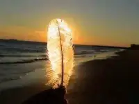 療愈不是遺忘過去，而是接受過去的存在，找到和它和平共處的方式。塑造更好的未來，把握主動權，先從走向療愈開始。配圖
