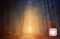 像一個(gè)嬰兒一樣待看一切，吸收一切，不要評(píng)判任何事物，不給任何人貼好或壞，是或非的標(biāo)簽，不要把人分成你愛(ài)的和恨的。只是這樣看待生命。即使你只是這樣做一天，你都可以有一個(gè)嶄新的開始，成為一個(gè)美妙的人配圖