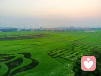 情結一出現(xiàn)，人的心就被緊緊捆綁。配圖