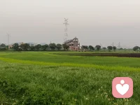 情結一出現(xiàn)，人的心就被緊緊捆綁。配圖