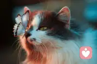 達爾文曾說：“脾氣暴躁是人類較為卑劣的天性之一，人要是發脾氣就等于在人類進步的階梯上倒退了一步。”配圖