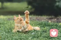 『走出原生家庭的陰霾』
所有父母的錯誤，都可將其反轉成正確。他們有他們的暗夜，我有我的明月。他們有他們的糾結，我有我的飛躍。抓到手的是一副爛牌，才能顯示打得很卓越。原生家庭老程序與己無關，我有自己全新的血液。要的就是顛覆，做的就是決絕。無論怎樣的嚴冬，靈魂都可體驗熱烈。我們就是應該勇敢出生，來創造和人間無關的新世界。配圖