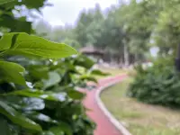 沒有宗教沒有信仰
只遵循自然規(guī)律??
越是細(xì)觀一草一木
越是敬畏世間萬物配圖