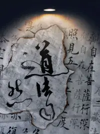 向嬰兒學習，或許是人類最謙卑又最智慧的自我教育方式。那些尚未被文明規訓的小生命，以其原始而本真的存在狀態，向我們展示著被成年人遺忘的生命奧秘。以下是從嬰兒身上可汲取的生存智慧：

1. 無篩選的感知力

嬰兒的瞳孔像未裝濾鏡的鏡頭，以每秒30幀的速度貪婪吞噬世界。他們觸摸空氣的流動、凝視光線的舞蹈、品嘗聲音的質地——這種全息感知方式，恰是藝術家畢加索終其一生試圖找回的野蠻人視角。成年人的感官早已被功能性馴化，而嬰兒提醒我們：世界本是一席流動的盛宴。

2. 失敗的慶典

當嬰兒第一千次嘗試抓取懸鈴時，前999次跌落都被編碼為數據而非挫折。這種將物理定律內化的過程，暴露出成年人學習機制的致命缺陷：我們把犯錯異化為道德事件而非認知必經之路。硅谷快速失敗的創業哲學，不過是把嬰兒的爬行墊放大成了商業戰場。

3. 情緒的水文循環

嬰兒的眼淚來得迅猛去得突然，如同熱帶雨林的陣雨。這種情緒代謝能力令認知行為治療師驚嘆：他們不儲存怨恨，不釀造焦慮，不用昨天的潮濕漚爛明天的陽光。成年人建造的情緒水庫，往往因過度蓄水而決堤。

4. 純粹的在場狀態

哺乳時的嬰兒是現象學大師，整個宇宙收縮為母親瞳孔的倒影。這種絕對專注力，堪比禪僧歷經十年修行才能抵達的喝茶只是喝茶境界。當成年人沉迷于多任務處理的自我感動時，嬰兒演示著心流（flow）的原始版本。

5. 身體智能的權威

嬰兒遵循著嚴格的肉體邏輯：餓了就哭，困了就睡，不舒服就扭動。這種身體誠實性反襯出成年人熬夜加班后喝護肝茶的荒謬。當瑜伽士苦練身體聆聽時，嬰兒本就是通體耳廓的存在。

6. 無功利的好奇

對嬰兒而言，撕紙的聲響比股市波動更值得研究，螞蟻行軍比職場晉升更有戲劇性。這種本真的好奇心，在成人世界被異化為有用知識的采集。愛因斯坦保持終生的神圣好奇心，本質上是對嬰兒態度的忠實延續。

在發育神經學中有個吊詭現象：人類大腦在青春期會主動修剪嬰兒期形成的神經突觸。這仿佛某種隱喻——我們通過放棄部分可能性來換取社會適應力。向嬰兒學習，不是要退回襁褓，而是重新發現那些被我們當作發育代價而拋棄的生命稟賦。就像詩人里爾克在《杜伊諾哀歌》中寫的：真正的天使，或許會羨慕我們這笨拙的專注。嬰兒，正是降臨人間的天使。配圖