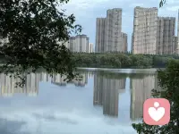 情緒會驅動思維的檢索方向。