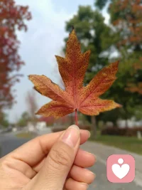 萬物皆有裂縫，
那是光照進來的地方