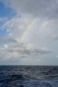 所有能夠輸出秩序的人,一定是更高能的人，因為所有秩序的建立都需要有能量。???配圖