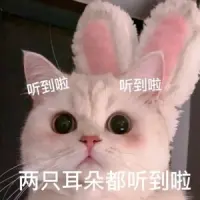 “女子無才便是德”說的是女人有明辨是非的能力，做事情以及與人相處有底線，是難得的品德

回歸封建社會的翻譯，變成了，女人沒文化，不上進，不讀書，安心做生育機器和工具人成為了難得的品德

文化才是削弱人意志和精神力的利器配圖