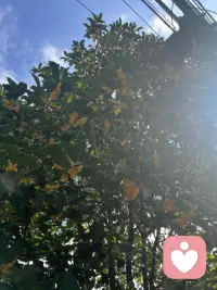 無論何時，愿我們都可以成為自己情緒的主人；不為情緒找借口，只為情緒找出口…祝?大家周末愉快??????配圖