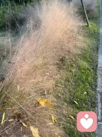 當那些焦慮、悔恨、迷茫的時刻來臨時，或許放棄獨自扛著，為自己找一個傾訴的出口，便會發現所有困境其實都有出路配圖