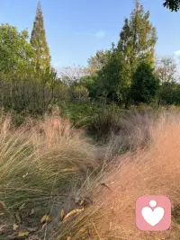 當那些焦慮、悔恨、迷茫的時刻來臨時，或許放棄獨自扛著，為自己找一個傾訴的出口，便會發現所有困境其實都有出路配圖