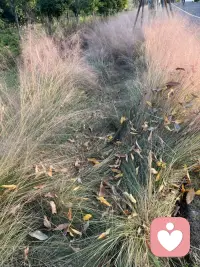 當那些焦慮、悔恨、迷茫的時刻來臨時，或許放棄獨自扛著，為自己找一個傾訴的出口，便會發現所有困境其實都有出路配圖