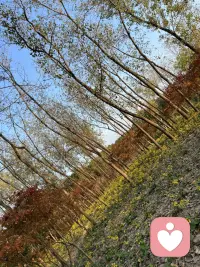 螢火蟲也喜歡黑暗的地方，因為黑暗的角落里也有美好的事物，這需要我們先去看了才能發現，人生也如此，愿我們都可以發現美好！配圖