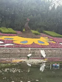 各隨所欲，皆得所愿——早安??????配圖