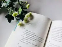 當(dāng)學(xué)生準(zhǔn)備好了，老師自然就會(huì)出現(xiàn)。配圖