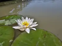 心理健康的標(biāo)志是擁有完整的情緒。配圖