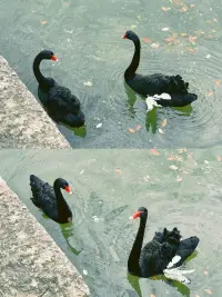 生命本質(zhì)的變化：一個(gè)人活力滿滿地迎接不同階段的改變，便是在與生命的本質(zhì)共舞。配圖