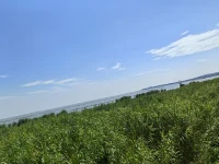 透過他人的世界，我們可以看到自己的內心。

                                  ——拉爾夫·瓦爾多·愛默生配圖