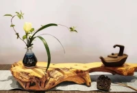 所有異常行為，不管有多么不合情理，都是人們為了應對痛苦而產生的配圖