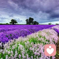 一對一真誠的聽你傾訴配圖