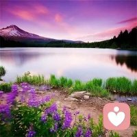 向陽而生，努力向上，做一個溫暖的人。配圖