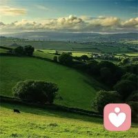 生活本不苦，苦的是欲望過盛。人心本不累，累的是牽掛太多。配圖