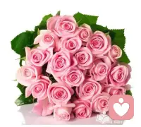 南朝宋文帝有個妃子叫潘淑，因為長得漂亮被選進宮中。一開始她并沒有受到宋文帝的賞識。于是，她經常濃裝艷抹，想以此博得到文帝的寵幸，但不管用。后來她發現宋文帝有個習慣，就是乘坐羊拉的車在宮中行走。于是她暗中命令宮女們用鹽水灑地。這以后啊，文帝每乘羊車行到淑妃宮舍前，羊就不住的舔地，不肯離去。文帝說：