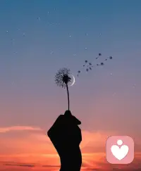 別人做什么，我們強求不了。唯一可以做的，就是盡心盡力做好自己的事，走好自己的路，按自己的原則，即使心累了，也要好好的生活，做一個幸福的人。配圖