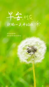 睡去昨天的疲憊，忘卻昨天的煩惱，睜開今天的雙眼，打開今天的美好。早上好，愿我的問候如清涼的清晨般滋潤你！早安。配圖