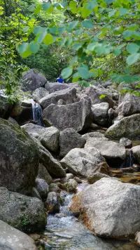 生活是一段旅程，有坎坷也有歡笑，只有勇敢前行，才能領略更美的風景。配圖