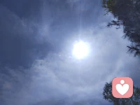 用大腦描述出一段經(jīng)歷，利弊分析的很到位，人生就是這樣總結(jié)而來。用大腦描繪出一副愛情藍圖，男女的對錯很清晰，愛還是不愛結(jié)果立判。用大腦腦補出一份美食，大腦說這個對身體有害要少吃。我們習慣用大腦來解釋這一切。但是你有沒有想過，大腦里的邏輯有缺陷或者偏見，因為一個幸福的人經(jīng)歷了幸福，你問人生是什么？她說，是感情。一個不幸的人經(jīng)歷了背叛，他的回答，可能會是欺騙，自嘲活著沒意思。所以，人的經(jīng)歷對事物的看法是不同的。你信任的大腦可能會欺騙你。生活里的很多事物比如大海，夕陽，溪水，森林等等都是需要去用身體感受的，用大腦無法替代的身體感受。愛也是這樣的東西，不是僅僅靠嘴說。配圖