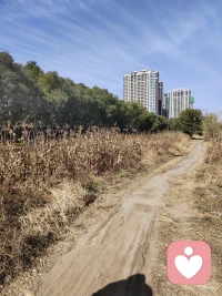 人以愛的名義進行的主觀強迫和情緒攻擊，是生活中最常見也是最廉價的控制，但是它對人的傷害卻是最嚴重的。配圖