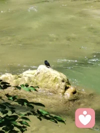 人都以為自己的時間是無限的，身體健康是完美的，所以，肆無忌憚的生活和追求自己想要的東西，當想而不得時，就開始怨恨他人。其實人都會死，每個人的體質(zhì)不一樣，基因不一樣。沒有人的時間是無限的，人終究會死，還會痛苦不堪，這個時候，誰會有時間去埋怨他人對己的不公和冷漠。時間是有限的，人生是短暫的，我們要更多的時間去照顧好自己，而不是追求和索求理解和施舍。配圖