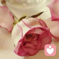 焦虑是一种没有明确原因的，令人不愉快的紧张状态，适度的焦虑可以提高人的警觉性，充分调动身心潜能，如果焦虑过火就会妨碍你去应付处理面前的问题，甚至妨碍你的日常生活。